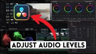 How to Adjust Audio Levels in DaVinci Resolve 2025?