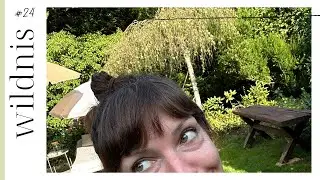 Wildnis 24 // No. 24 - Der Ablenkungs-Pony  | Vlog #619