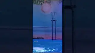 Катается на дельфине