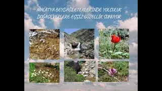 MALATYA BEYDAĞI ETEKLERİNDE YOLCULUK DOĞASEVERLERE EŞŞİZ GÜZELLİK SUNUYOR