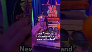 Disney merch is glow in the dark! #disneyparks #disneyland #disney