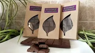 Купить МУХОМОР в шоколаде, микродозинг, красный гриб