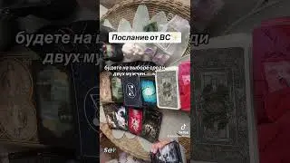 ПОСЛАНИЕ ОТ ВС✨|Таро