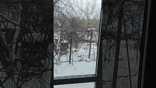 14 января 2024 г.