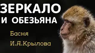 THE MIRROR AND THE MONKEY / fable / IVAN KRYLOV
