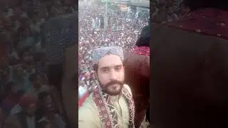culture day 2