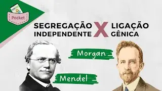 Segregação Independente X Ligação gênica