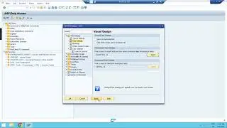 How to Change SAP GUI - SAP Font | How To Change Font Size In SAP