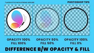 DIFFERENCE BETWEEN OPACITY & FILL IN PHOTOSHOP- 