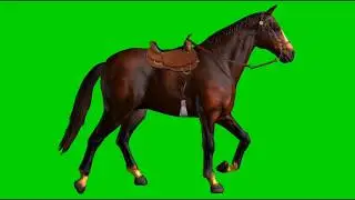 Green Screen Video background effect Hours running animals video effect VFX caroma key