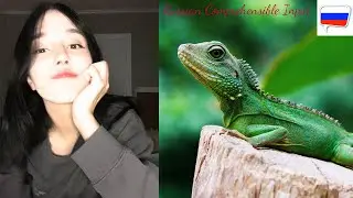 Angela's day at zoo and work (Pre-intermediate Russian Comprehensible Input)