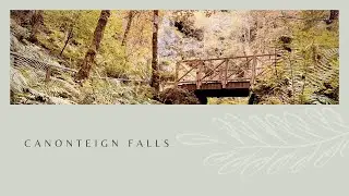 Canonteign Falls - A must visit in Devon