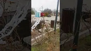 1 января 2024 г.
