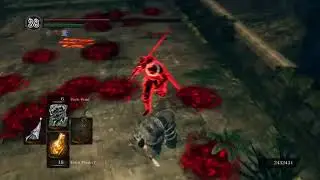 Dark Souls Remastered : Havel Mage Is Back (Build Showcase)