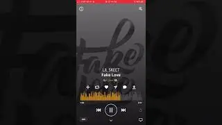 Fake Love by Lil Skeet