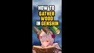 HOW TO FARM WOOD 🌳 | Genshin Guide 