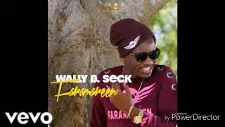 Wally B. Seck - Faramareen
(audio music)