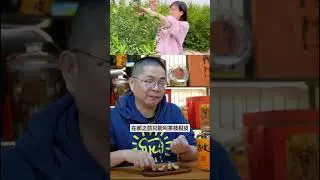 亚觅精选：央视踢爆新会陈皮被李鬼入侵 教你识别科技皮掺假皮