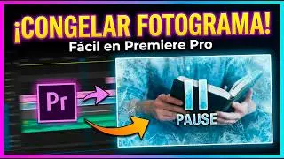 Como crear fotograma de un video con la misma calidad en Adobe Premiere pro