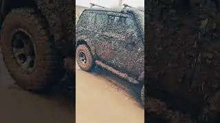 100% #нивас