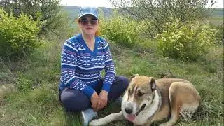 Бульон, аминокислоты, коллаген. Здоровый ЖКТ.