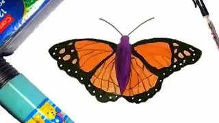 How to draw a butterfly l How to draw a butterfly step by step for kids