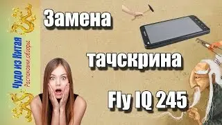 Very easy replacing the touchscreen with their hands on Fly IQ 245. Miracle from China
