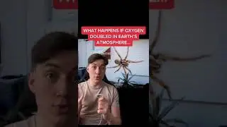 What Happens If Oxygen Doubled In Earth's Atmosphere! 