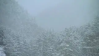 Blizzard on the Chopok