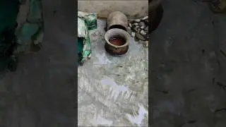 Fish Tub: Fish Tub for Guppy Fishes