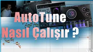 How AutoTune Plugins Works