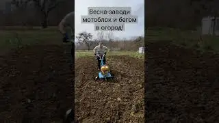 Мотоблок 🚜 в огород.