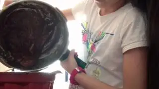 IMG 1358