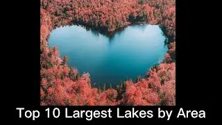 Top 10 Largest Lakes by Area
