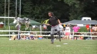 Turano Luca & Maia - Brnenské psí dny 2013