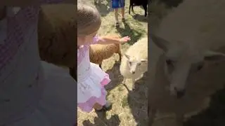 Варя на ферме #tiktok #лайки #funny #4года #варя #стихи #dance #baby