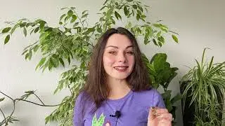 2: Benefits of Houseplants | Houseplant Guide for Beginners | PLANT CRASH COURSE