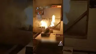 Được hôm vợ nấu ăn bổng dưng thành Luyện Đan