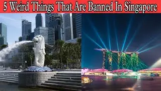 Singapore BANNED these things ! | Crazy 😝 Facts About Singapore #motivationmentor #shorts