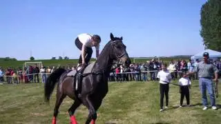 PÁPATESZÉR SE