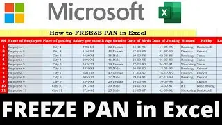 How to FREEZE PAN in Excel