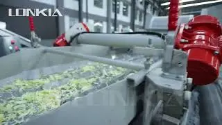 Salad washing production line