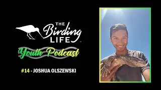 The Birding Life Youth Podcast | #14 - Joshua Olszewski