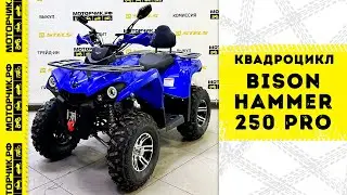 Квадроцикл Bison Hammer 250 PRO