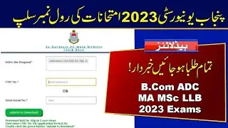 Roll Number Slips of MA MSc B.Com ADC LLB 2023 Exams | Punjab University
