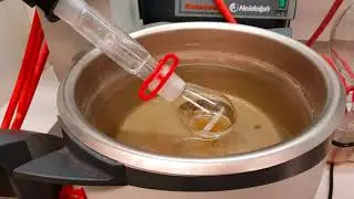 Rota-fapping while having the whole lab for yourself