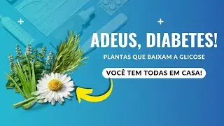 5 PLANTAS para ELIMINAR A DIABETES - A 5ª VAI TE SURPREENDER!