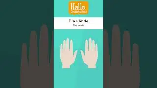 Ich habe zwei Hände. Ich habe eine Nase. #deutschlernen #wortschatz #deutscha1
