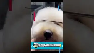 carita pelo rizado 7