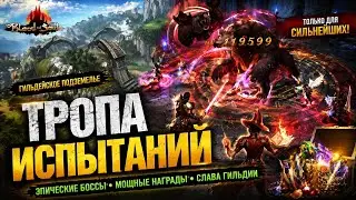 Избегайте ошибок: Гайд по Гильдейскому подземелью в Blood and Soul
